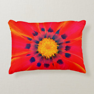 Accent Pillow