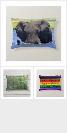 Accent Pillows