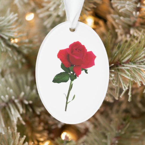 Accept this Rose Acrylic Ornament Oval Ornament