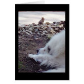 Acceptance card (Front)