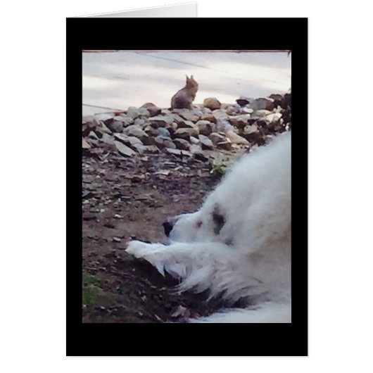 Acceptance card (Front)