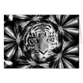 Accepting Me_ (Front Horizontal)