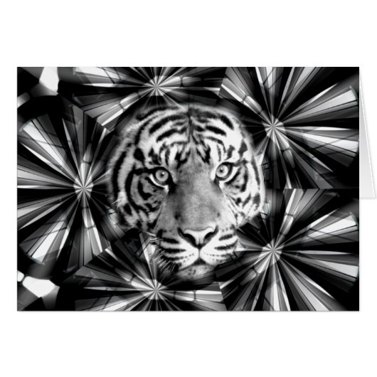 Accepting Me_ (Front Horizontal)