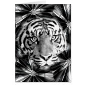 Accepting Me_ (Front)