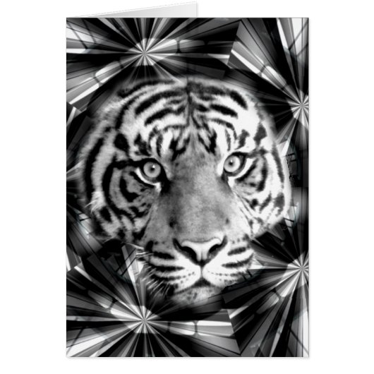 Accepting Me_ (Front)