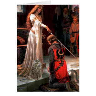 Accolade - Norwegian Forest Cat