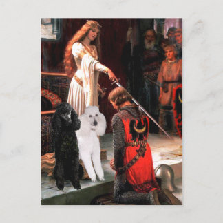 Accolade - Poodle (TWO Standard) Postcard