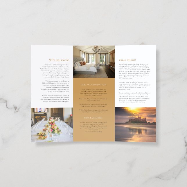 Accommodation template promotional red gold photo brochure (Inside)