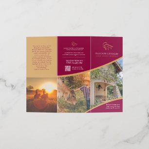 Accommodation template promotional red gold photo brochure