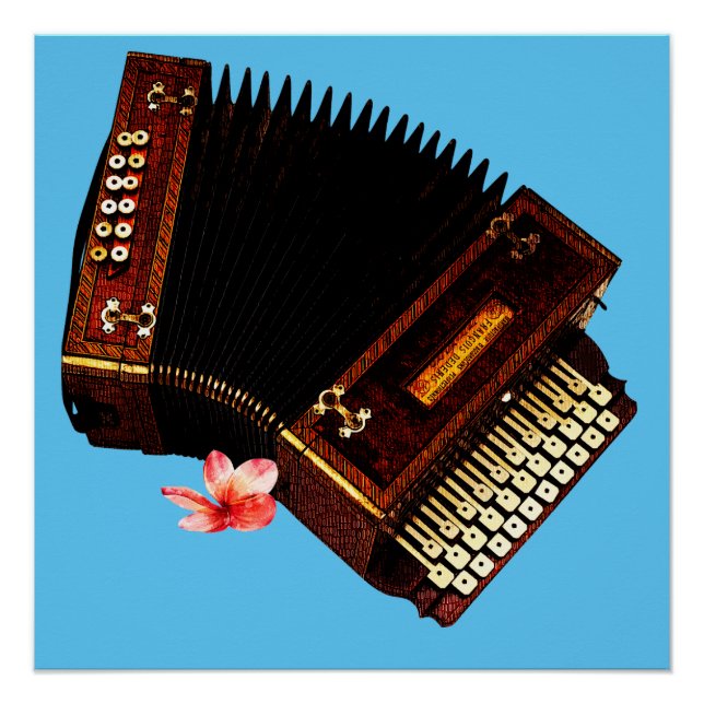 Accordion and Plumeria - Musical Instrument  Poster (Front)