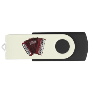 Accordion cartoon illustration flash drive