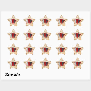 Accordion Music, popular design, Star Sticker