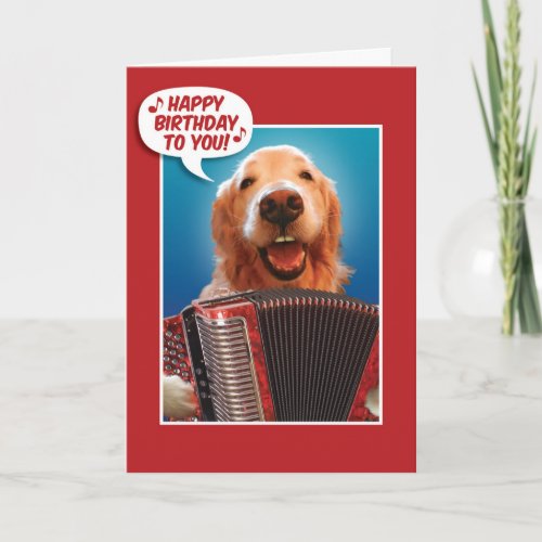 Accordion_Playing Golden Retriever Birthday Card