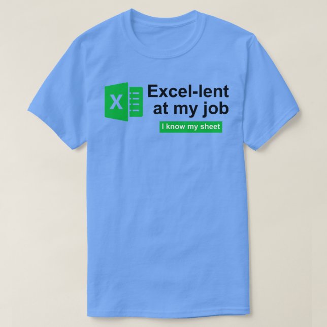 Accountant 4 T-Shirt (Design Front)
