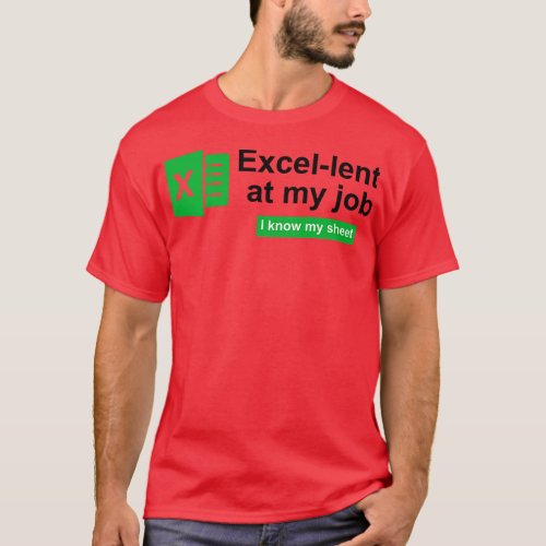 Accountant 4 T_Shirt
