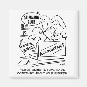 Accountant at Slimming Club Magnet