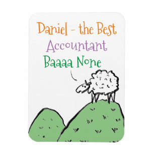 Accountant Magnet