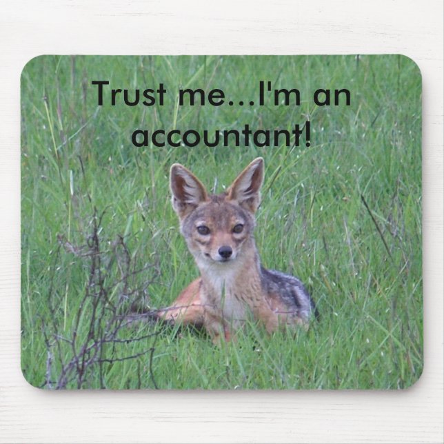 Accountant mousepad (Front)