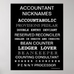 Accountant Nicknames Motivational Poster