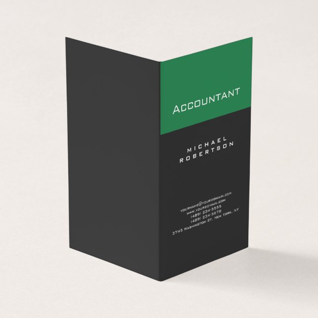 Accountant Sea Green Gray Chubby Business Card (Outside)