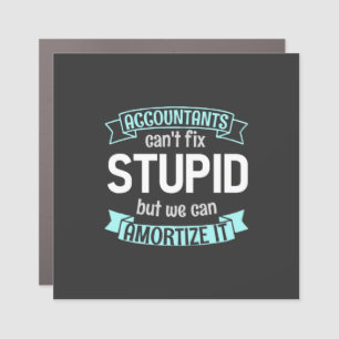 Accountants Can Amortize It Car Magnet