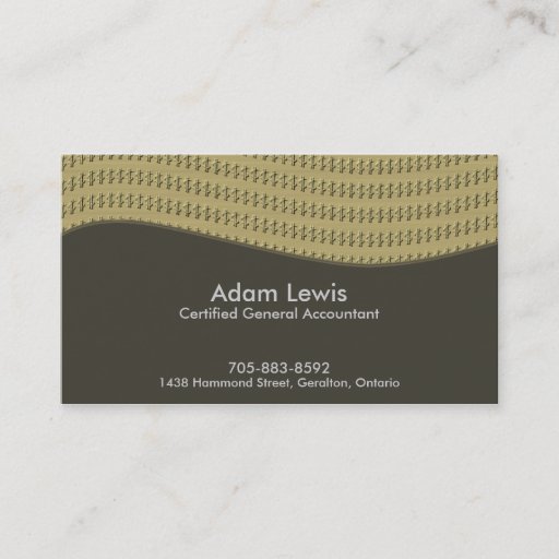 Customizable Accounting Business Card - $$$
