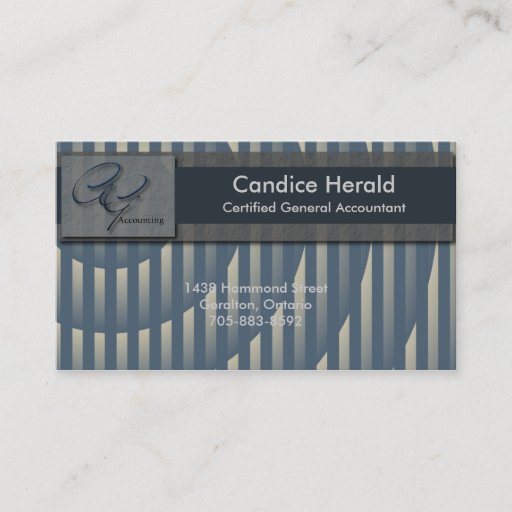 Customizable Accounting Business Card - Spotlight