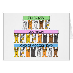Accounting Ninja Cartoon Cats Cards