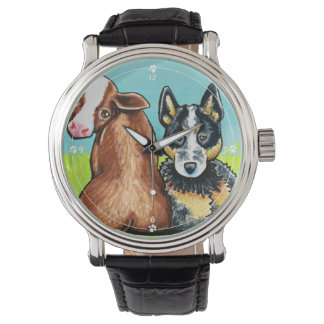 ACD and Brown Cow Watch