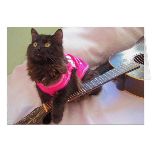 ACDC shirt cat Cards (Front Horizontal)