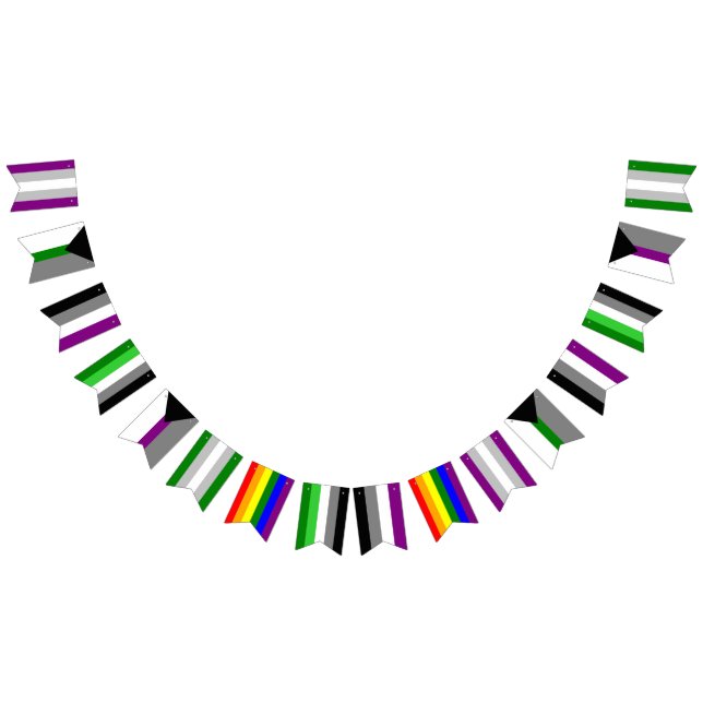 Ace/Aro Bunting Flags (All)