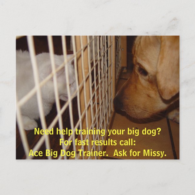 Ace Big Dog Trainer Postcard (Front)