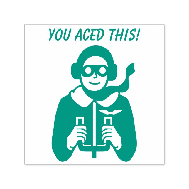 Ace Pilot Flyer Grade School Teacher A Plus Self-inking Stamp (Design)