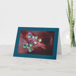 "Acebo" Holiday Card