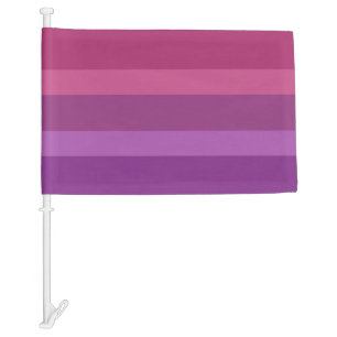 Aceflux Pride Car Flag