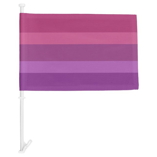 Aceflux Pride Car Flag (Front)