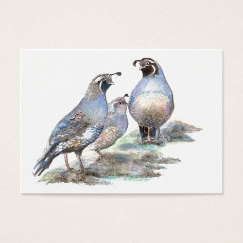 ACEO ATC California Quail Business Card