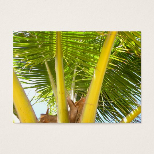 ACEO Palm Tree Business Card