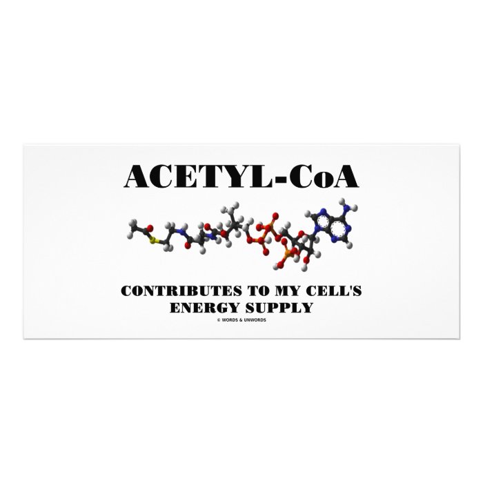 Acetyl CoA Contributes To My Cell's Energy Supply Customized Rack Card