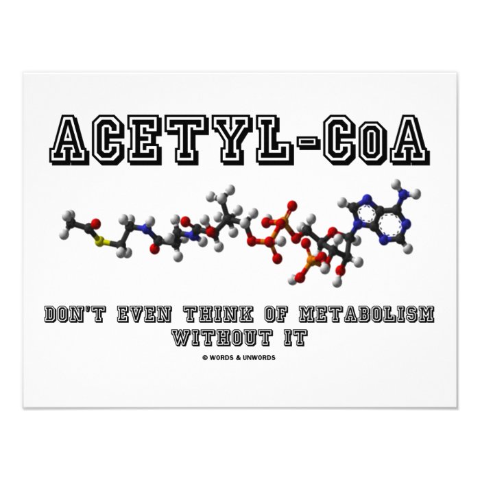 Acetyl CoA Don't Even Think Of Metabolism Without Custom Announcements