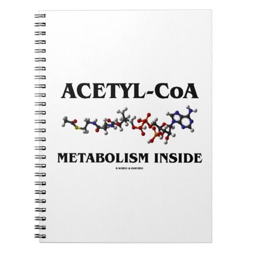 Acetyl_CoA Metabolism Inside Chemical Molecule Notebook