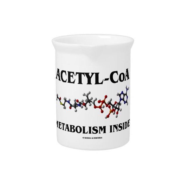 Acetyl-CoA Metabolism Inside (Chemical Molecule) Pitcher (Front)