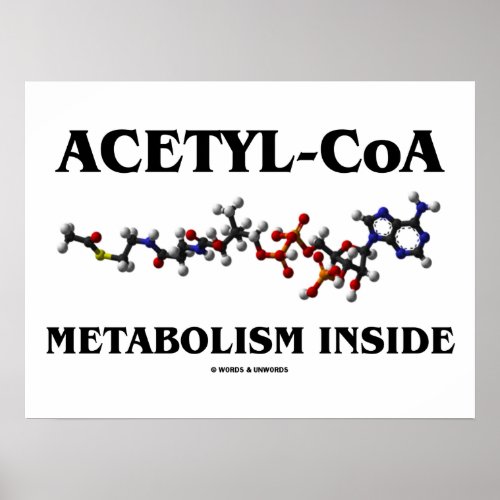 Acetyl_CoA Metabolism Inside Chemical Molecule Poster