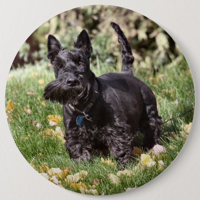 Ach Button (Front)
