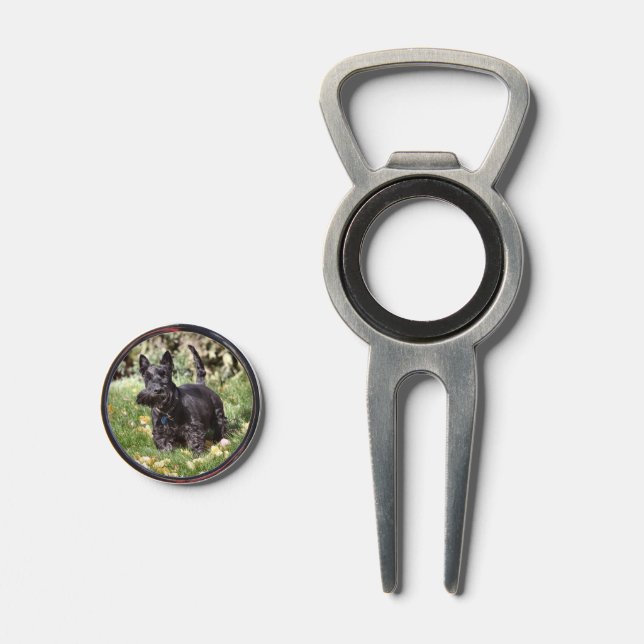 Ach.... Divot Tool (Front (Open))