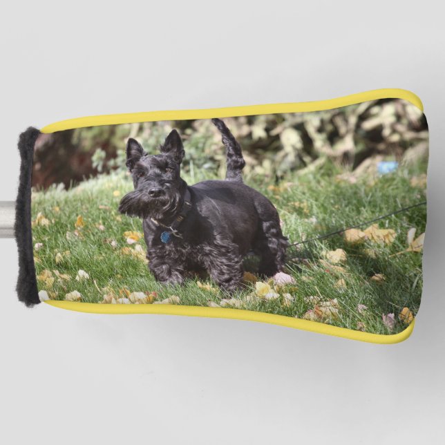 Ach Golf Head Cover (Front)