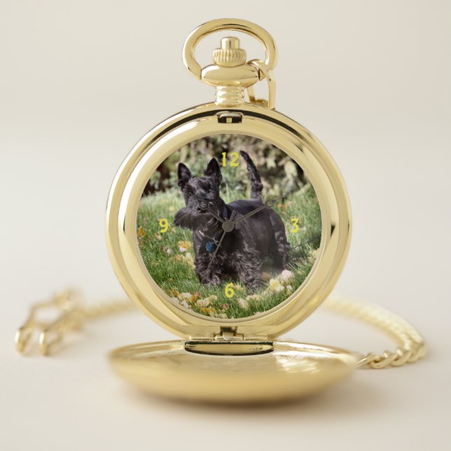 Ach Pocket Watch (Inside)