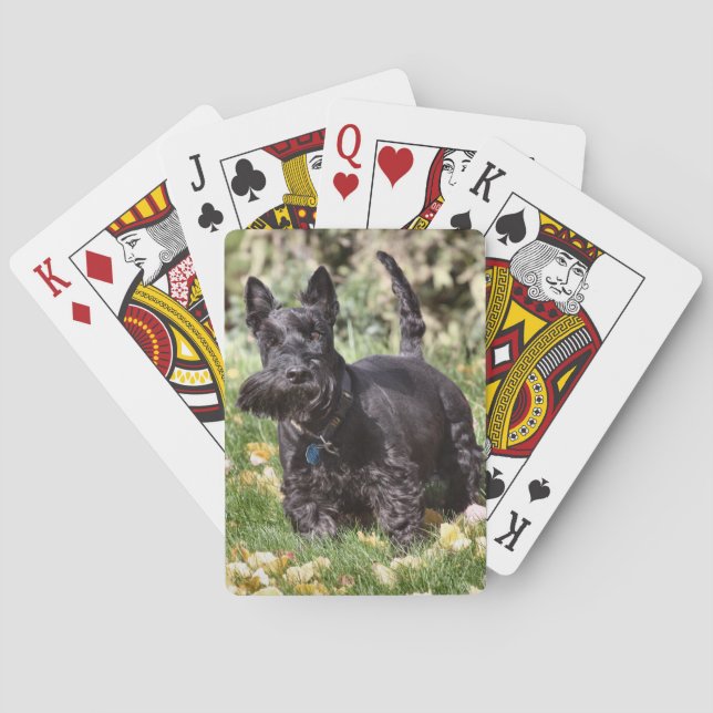 Ach Poker Cards (Back)