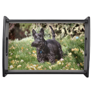 Ach Serving Tray