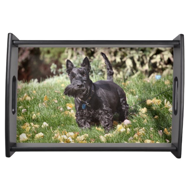 Ach Serving Tray (Front)